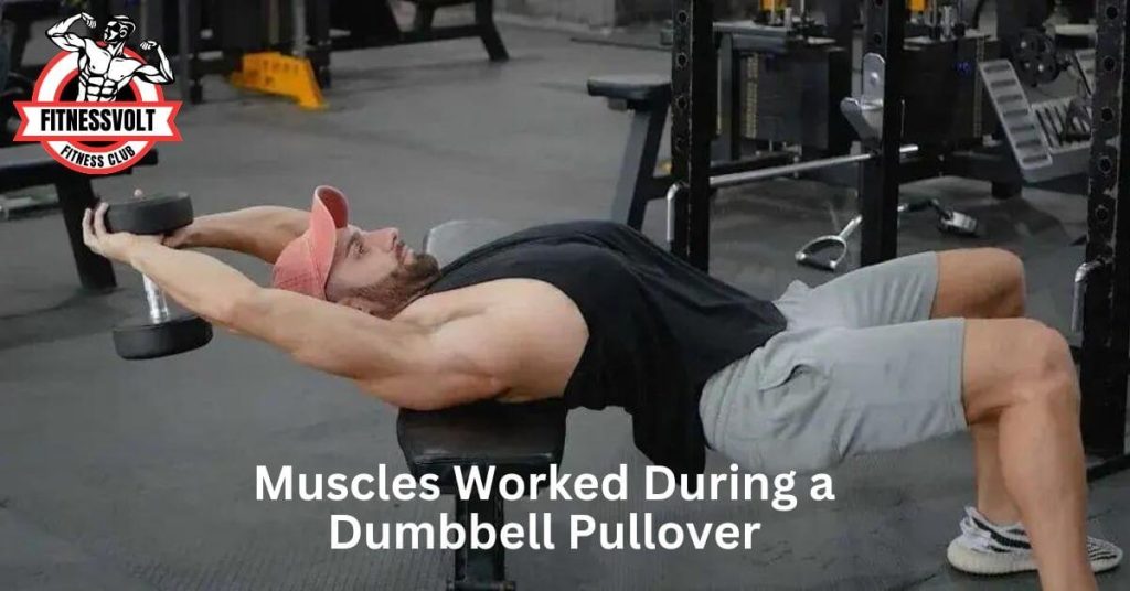 Muscles Worked During a Dumbbell Pullover