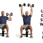 "The Ultimate Guide to Shoulder Workouts for All Fitness Levels"