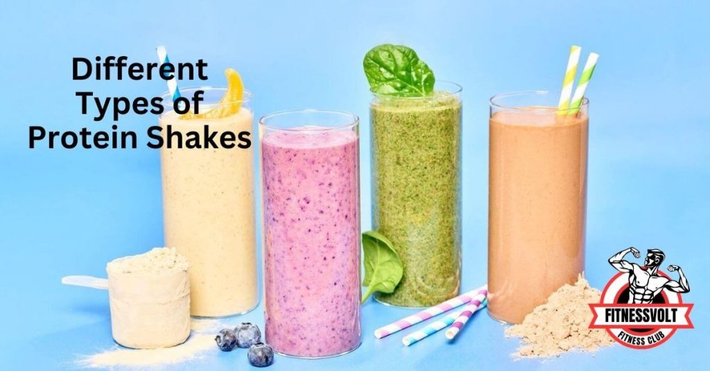 Different Types of Protein Shakes